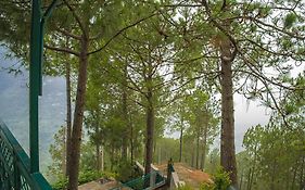 Summer Pine Dharampur Kasauli L Holidays Vataion